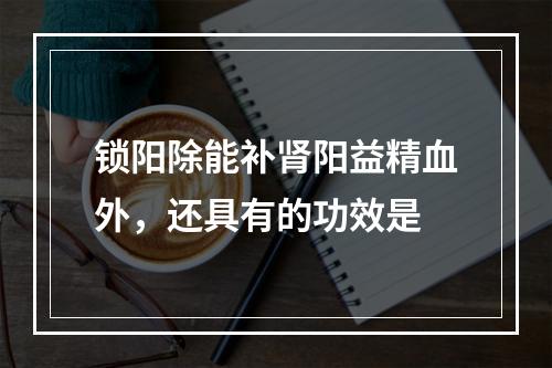 锁阳除能补肾阳益精血外，还具有的功效是