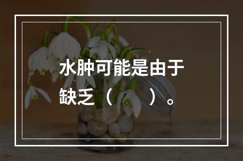 水肿可能是由于缺乏（　　）。