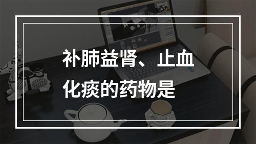 补肺益肾、止血化痰的药物是