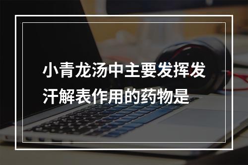 小青龙汤中主要发挥发汗解表作用的药物是