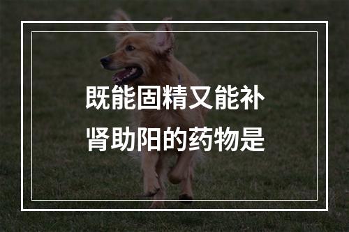 既能固精又能补肾助阳的药物是