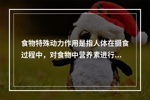 食物特殊动力作用是指人体在摄食过程中，对食物中营养素进行消