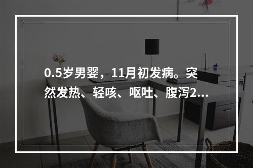 0.5岁男婴，11月初发病。突然发热、轻咳、呕吐、腹泻2天入