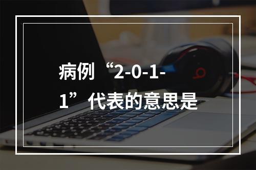 病例“2-0-1-1”代表的意思是