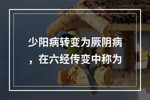 少阳病转变为厥阴病，在六经传变中称为