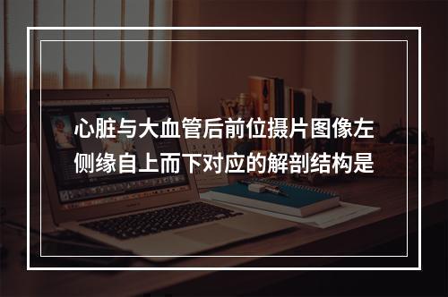 心脏与大血管后前位摄片图像左侧缘自上而下对应的解剖结构是