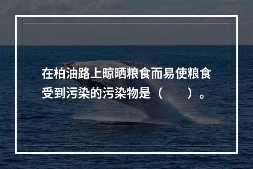 在柏油路上晾晒粮食而易使粮食受到污染的污染物是（　　）。