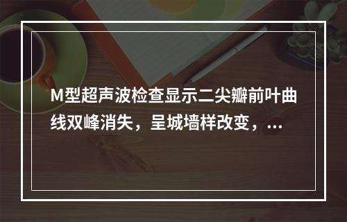 M型超声波检查显示二尖瓣前叶曲线双峰消失，呈城墙样改变，这是