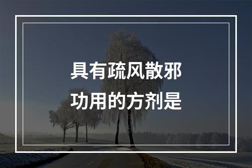 具有疏风散邪功用的方剂是