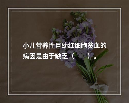 小儿营养性巨幼红细胞贫血的病因是由于缺乏（　　）。