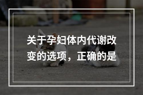 关于孕妇体内代谢改变的选项，正确的是