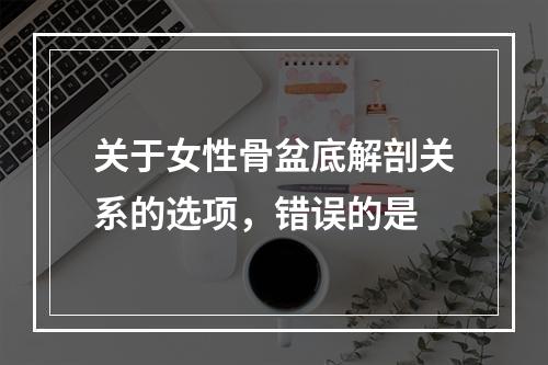 关于女性骨盆底解剖关系的选项，错误的是