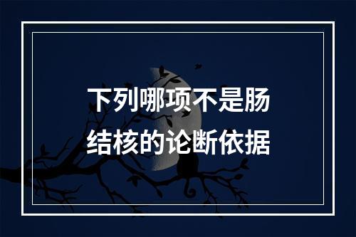 下列哪项不是肠结核的论断依据