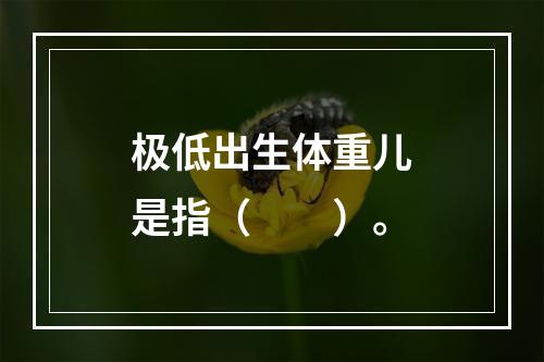 极低出生体重儿是指（　　）。