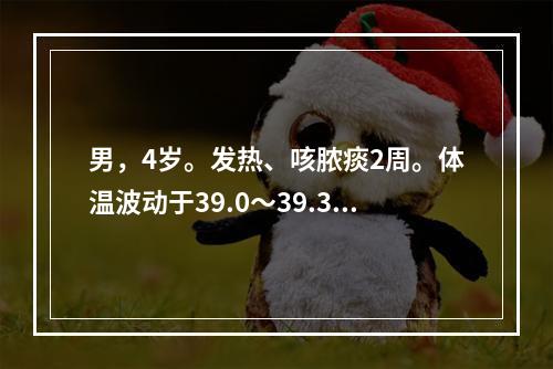 男，4岁。发热、咳脓痰2周。体温波动于39.0～39.3℃。