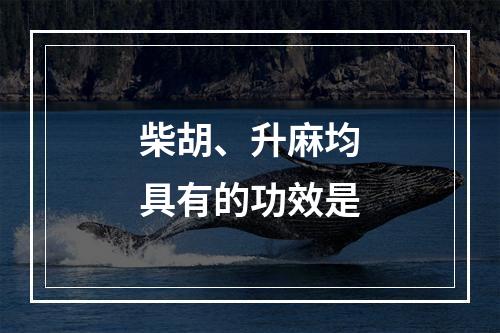 柴胡、升麻均具有的功效是