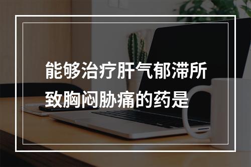 能够治疗肝气郁滞所致胸闷胁痛的药是