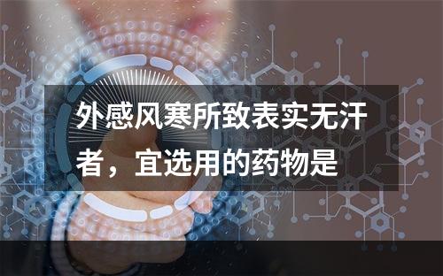 外感风寒所致表实无汗者，宜选用的药物是