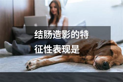 结肠造影的特征性表现是