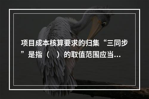 项目成本核算要求的归集“三同步”是指（　）的取值范围应当一致