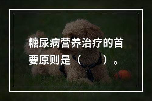 糖尿病营养治疗的首要原则是（　　）。