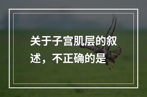 关于子宫肌层的叙述，不正确的是