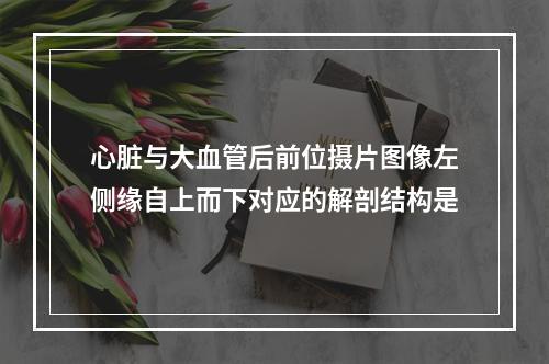 心脏与大血管后前位摄片图像左侧缘自上而下对应的解剖结构是