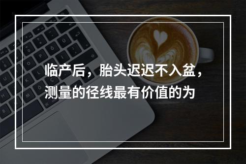 临产后，胎头迟迟不入盆，测量的径线最有价值的为