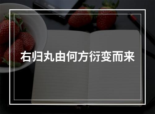 右归丸由何方衍变而来