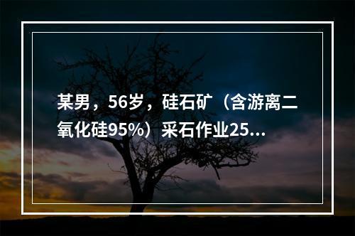 某男，56岁，硅石矿（含游离二氧化硅95%）采石作业25年，