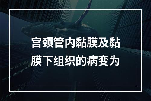 宫颈管内黏膜及黏膜下组织的病变为