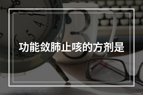 功能敛肺止咳的方剂是