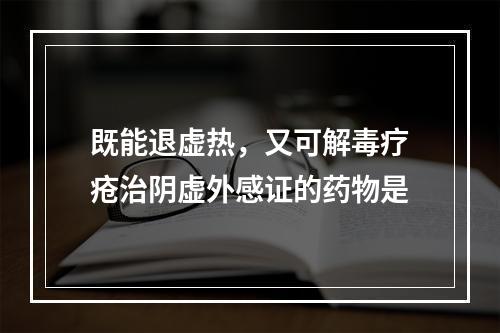 既能退虚热，又可解毒疗疮治阴虚外感证的药物是