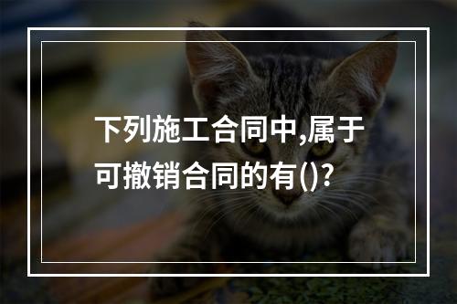 下列施工合同中,属于可撤销合同的有()?