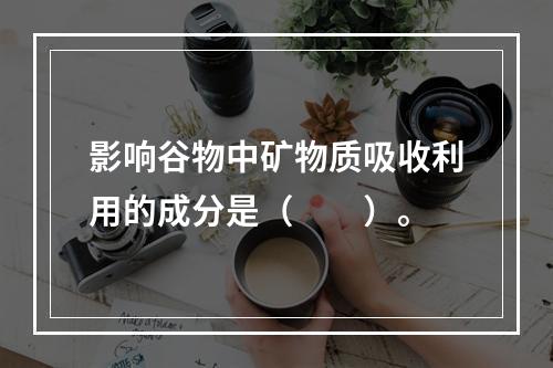 影响谷物中矿物质吸收利用的成分是（　　）。