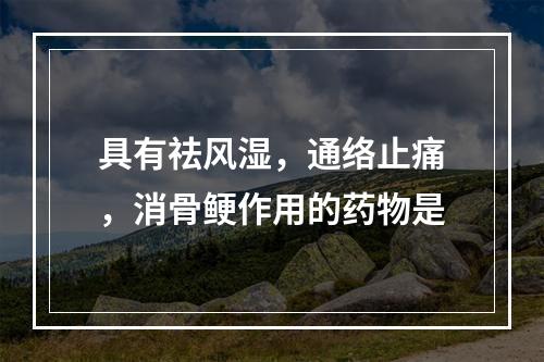 具有祛风湿，通络止痛，消骨鲠作用的药物是