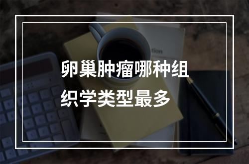 卵巢肿瘤哪种组织学类型最多