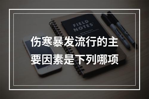 伤寒暴发流行的主要因素是下列哪项