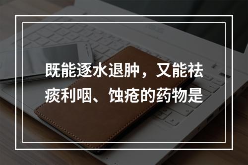 既能逐水退肿，又能祛痰利咽、蚀疮的药物是