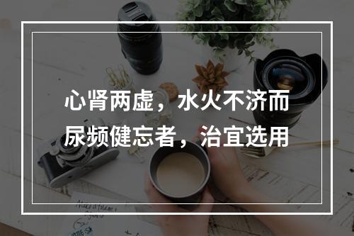 心肾两虚，水火不济而尿频健忘者，治宜选用