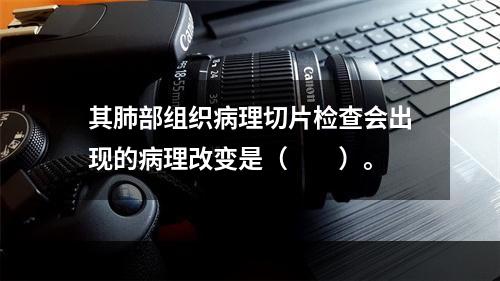 其肺部组织病理切片检查会出现的病理改变是（　　）。