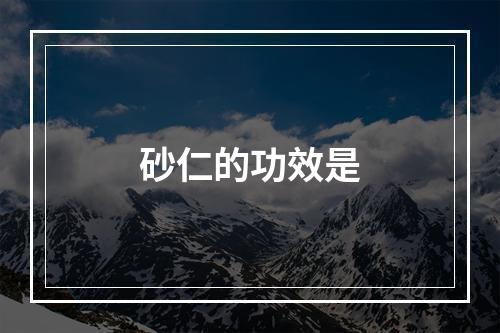 砂仁的功效是