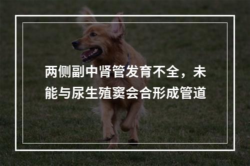 两侧副中肾管发育不全，未能与尿生殖窦会合形成管道