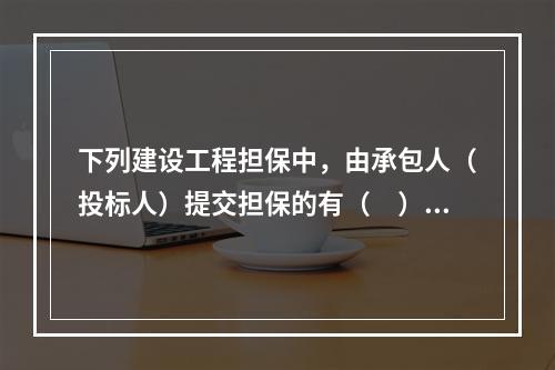 下列建设工程担保中，由承包人（投标人）提交担保的有（　）。