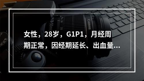 女性，28岁，G1P1，月经周期正常，因经期延长、出血量多就