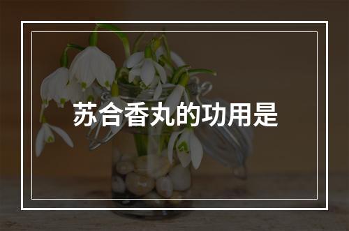 苏合香丸的功用是