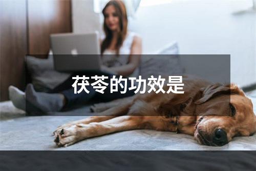 茯苓的功效是