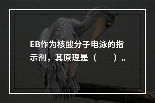 EB作为核酸分子电泳的指示剂，其原理是（　　）。