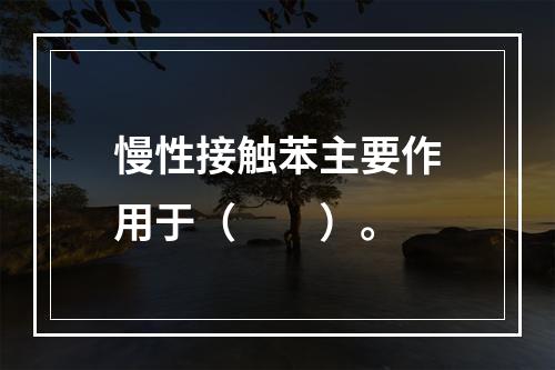 慢性接触苯主要作用于（　　）。