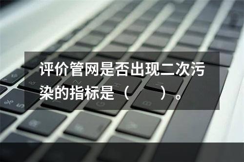 评价管网是否出现二次污染的指标是（　　）。